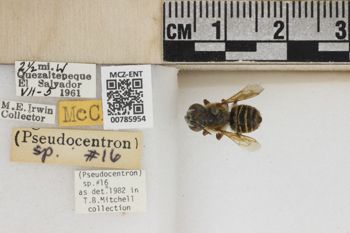 Media type: image;   Entomology 785954 Aspect: Labels